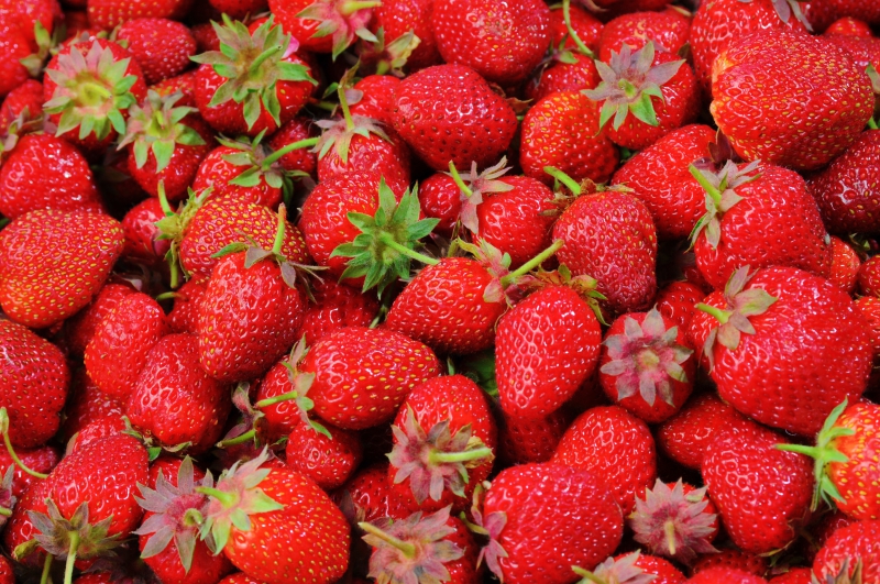 primeur-CARROS-min_strawberries-528791